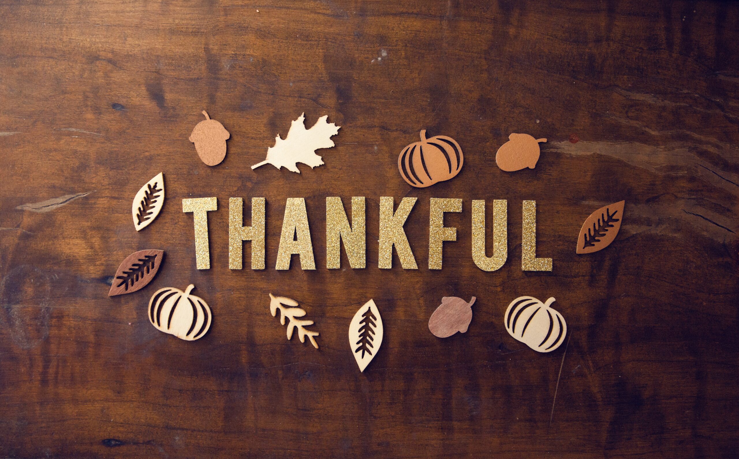 Thankful holiday graphic