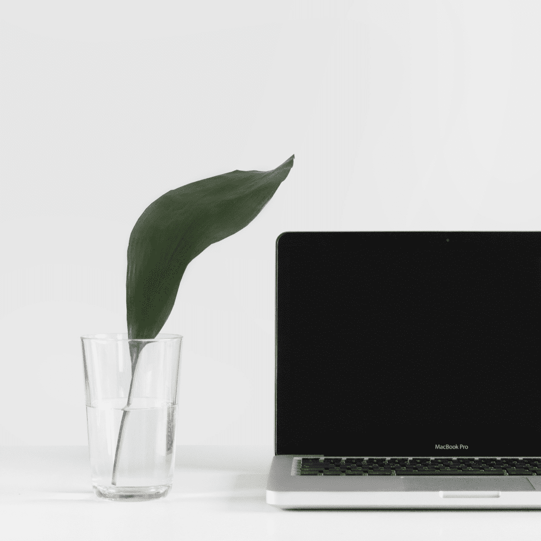 Companies Outsource on a MacBook