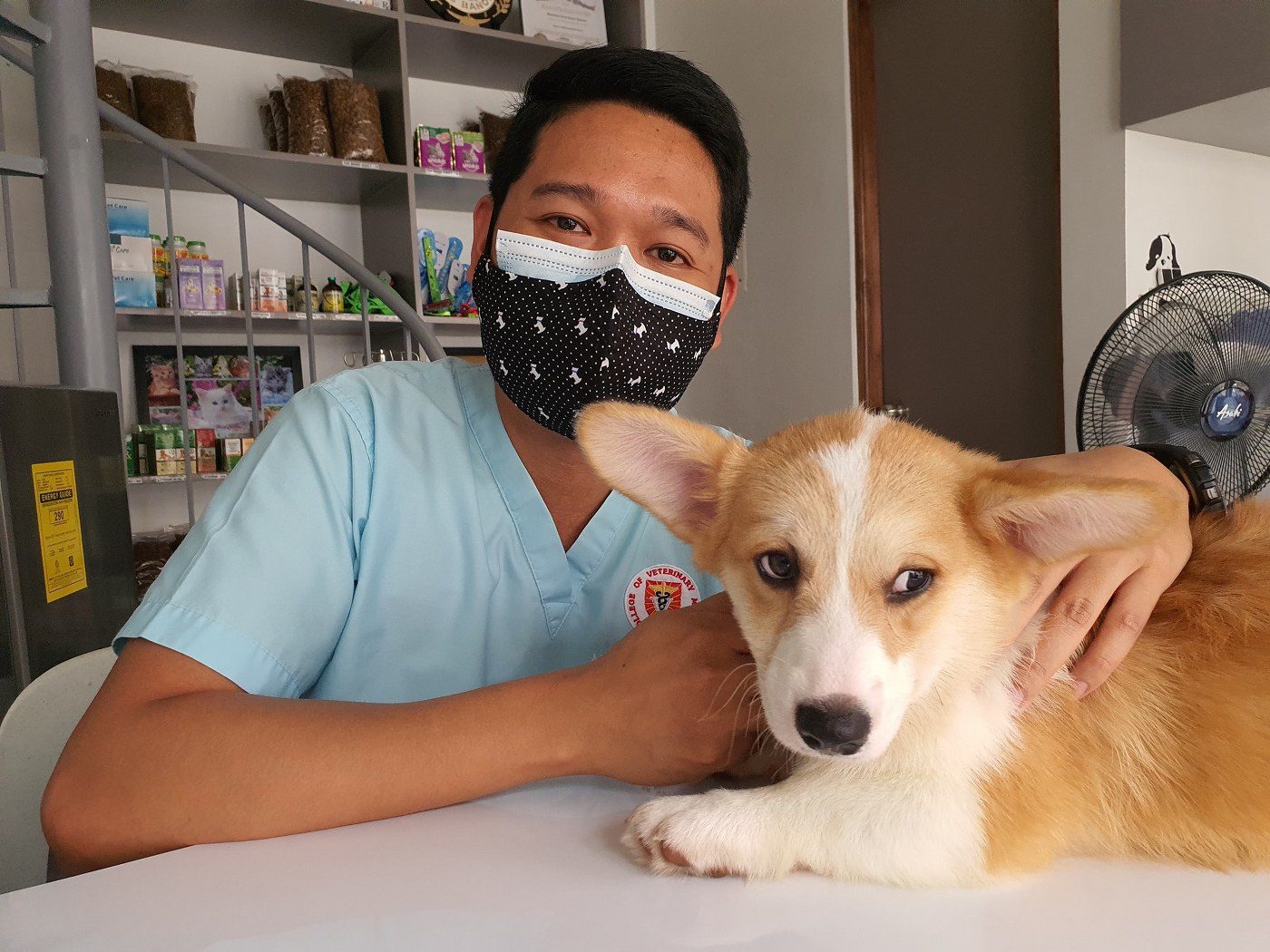 image of a vet with a dog who has more time to spend with his patients because he has hired a veterinarian answering service