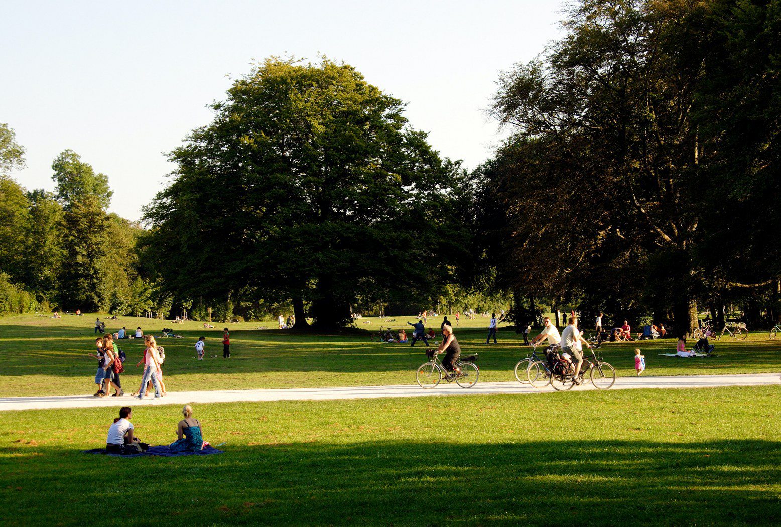 more visitors at a public park due to using a Call center for park operations