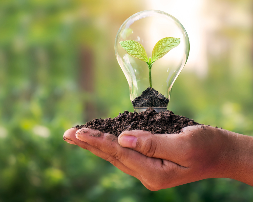 live answering service